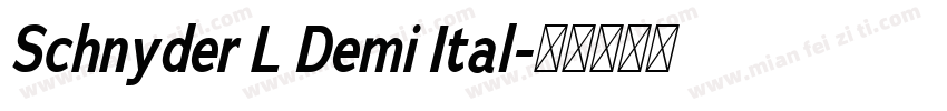 Schnyder L Demi Ital字体转换